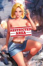 Load image into Gallery viewer, Android 18 Dragon Ball Z Cosplay 5 Book Set by Bearwitch BooKoo Bear babes Bear Claw Studios BooKooComix Excusive Set Limited to 100