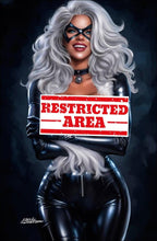 Load image into Gallery viewer, Black Cat Cosplay 5 Book Variant Set by Fernando Rocha Anna Nicole Smith Homage