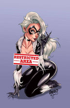 Load image into Gallery viewer, Black Cat Cosplay 2 Book Set by Gregbo &amp; Gwenaëlle Daligault BooKoo Exclusive