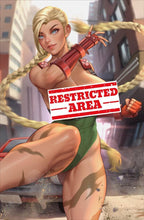 Load image into Gallery viewer, Cammy Street Fighter Cosplay 4 Book Set by Bearwitch BooKoo Bear Babes Limited to 100