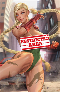 Cammy Street Fighter Cosplay 4 Book Set by Bearwitch BooKoo Bear Babes Limited to 100