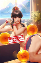 Load image into Gallery viewer, Chi Chi Dragon Ball Z Cosplay 5 Book Set by Bearwitch BooKoo Bear babes Bear Claw Studios BooKooComix Excusive Set Limited to 100