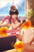 Load image into Gallery viewer, Chi Chi Dragon Ball Z Cosplay 5 Book Set by Bearwitch BooKoo Bear babes Bear Claw Studios BooKooComix Excusive Set Limited to 100