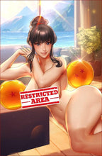 Load image into Gallery viewer, Chi Chi Dragon Ball Z Cosplay 5 Book Set by Bearwitch BooKoo Bear babes Bear Claw Studios BooKooComix Excusive Set Limited to 100