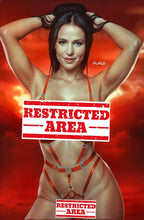 Load image into Gallery viewer, Elektra Cosplay 4 book Virgin Variant Cover Set by Taurus Jennifer Garner Homage
