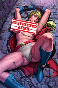 Power Girl Cosplay 4 book Set by Art Voyager & Ezequiel Dominguez BooKoo Babes Bear Claw Studios Limited to 100