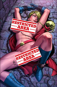 Power Girl Cosplay 4 book Set by Art Voyager & Ezequiel Dominguez BooKoo Babes Bear Claw Studios Limited to 100