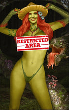 Load image into Gallery viewer, Poison Ivy Cosplay 4 Book Book Variant Cover Set by Heyy Aggi BooKoo Babes Bear Claw Studios Limited to 100