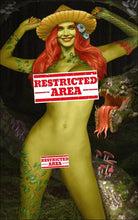 Load image into Gallery viewer, Poison Ivy Cosplay 4 Book Book Variant Cover Set by Heyy Aggi BooKoo Babes Bear Claw Studios Limited to 100