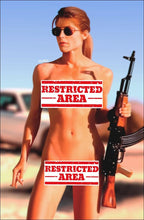 Load image into Gallery viewer, Terminator Sarah Connor Cosplay 4 book Virgin Variant Cover Set by Taurus Linda Hamilton Homage