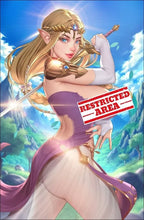 Load image into Gallery viewer, Zelda Nintendo Cosplay 4 Book Set by Bearwitch Limited to 100 BooKooComix Exclusive